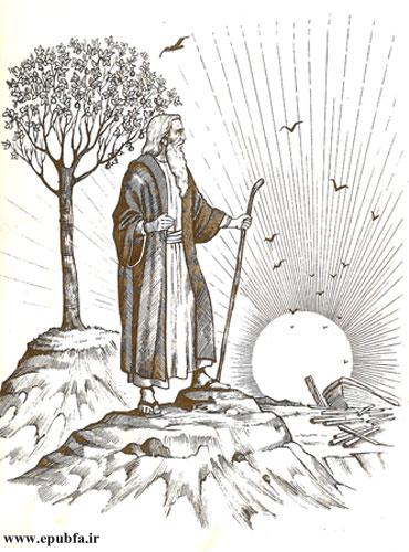 سایههای ناچیز خود را با کمال صدق و صفا بر سر نوح نبی افکند